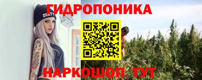 spice Свободный