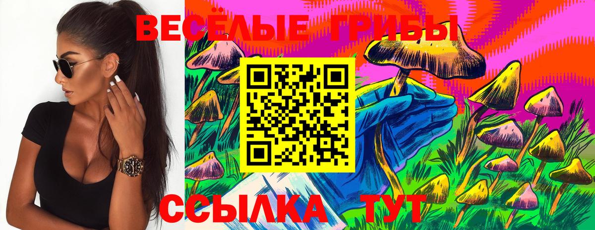 Элиста  Галлюциногенные грибы мицелий  Вход с VPN  Галлюциногенные грибы прущие грибы 